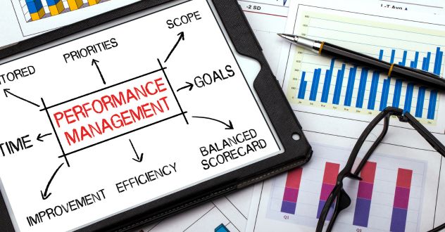 Grafik zeigt die Arbeitsbereiche im Performance Management
